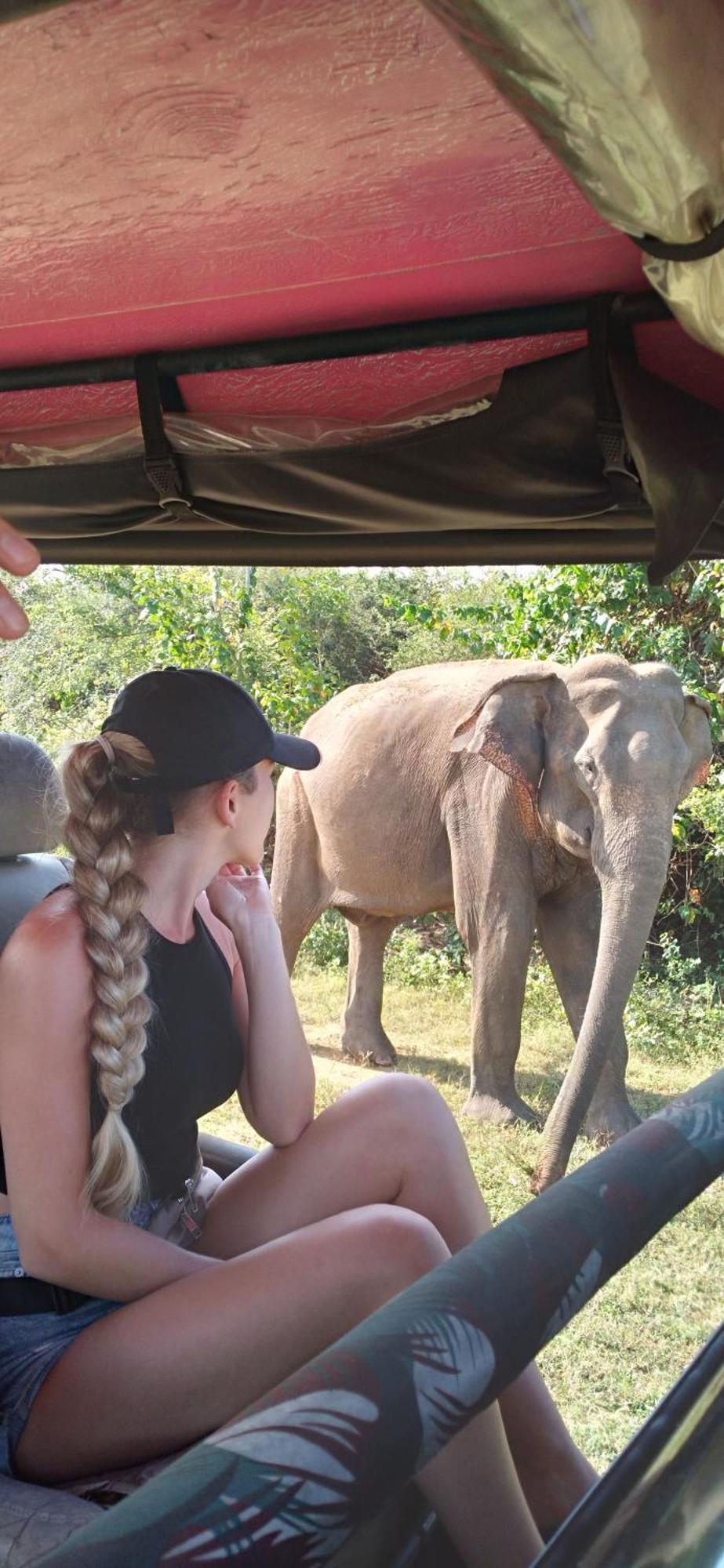 Share Safari House Udawalawe Bed & Breakfast Ngoại thất bức ảnh