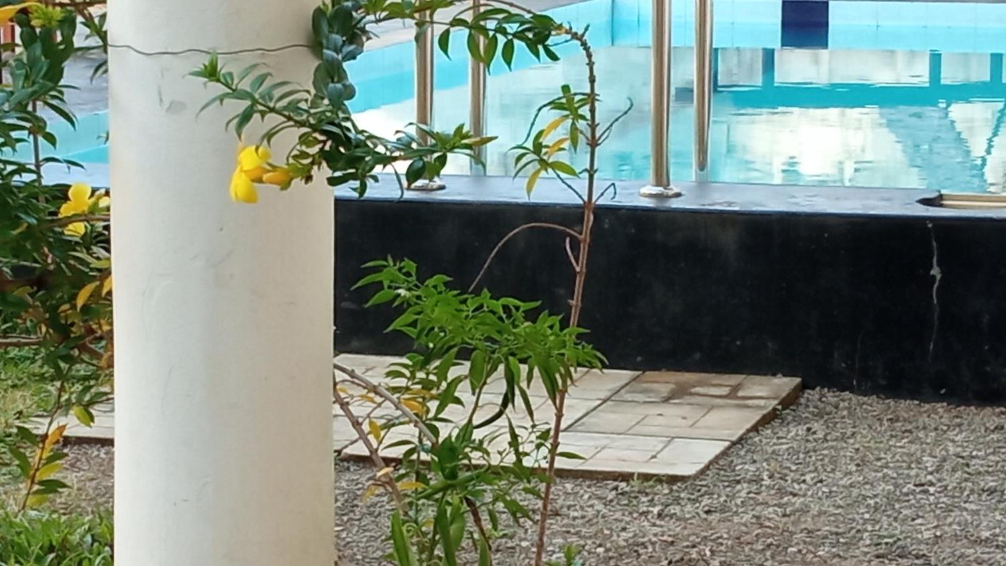 Share Safari House Udawalawe Bed & Breakfast Ngoại thất bức ảnh