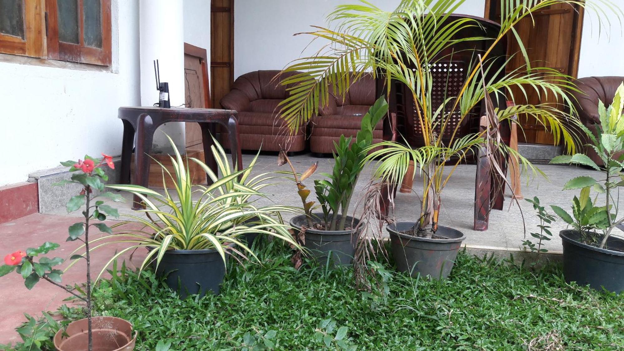Share Safari House Udawalawe Bed & Breakfast Ngoại thất bức ảnh